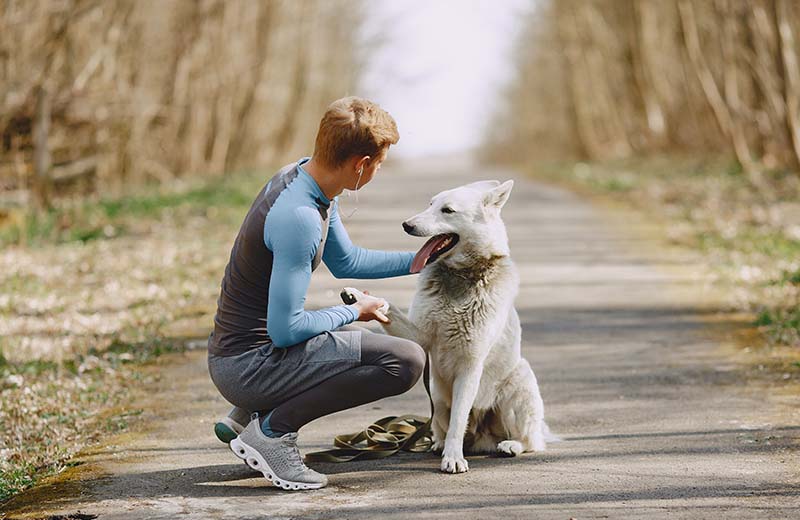 Helpt adoptie een buitenlandse hond 2